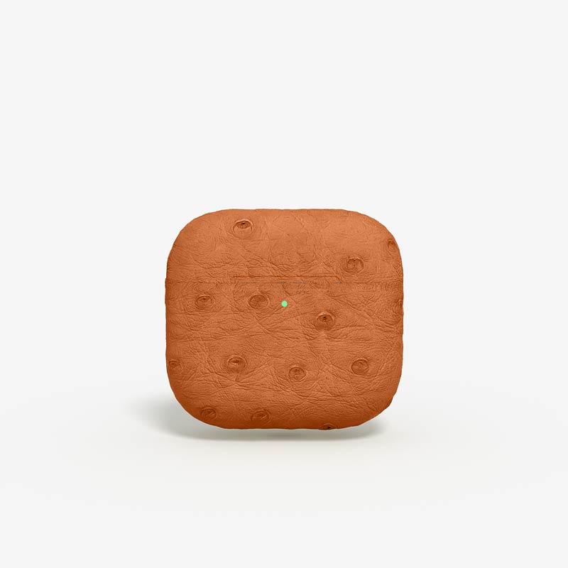 Personnalisation Custom Airpods 4 in Ostrich Custom Airpods 4 in Ostrich