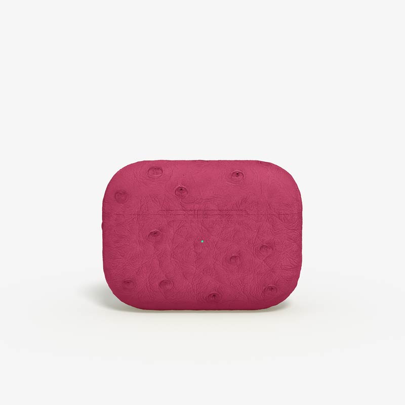 Personnalisation Custom Airpods Pro 2 in Ostrich Custom Airpods Pro 2 in Ostrich